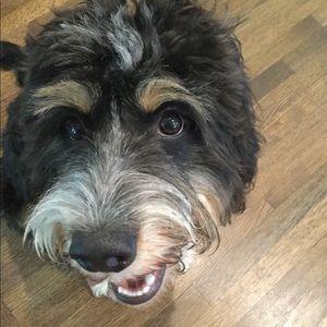 Meet your Posher, Joshua